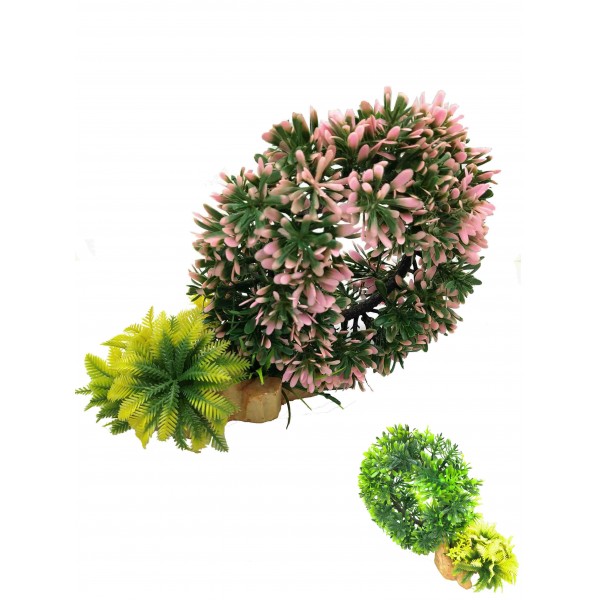 ΔΙΑΚΟΣΜΗΤΙΚΟ ΦΥΤΟ ΕΝΥΔΡΕΙΟΥ